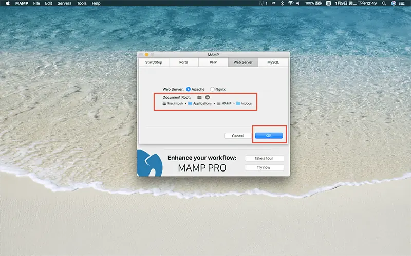 WordPress 下載與安裝教學:用 MAMP 在 Mac 架設本機網站 11 MAMP 設定的 Web Server 分頁,Document Root 路徑為 Applications/MAMP/htdocs,紅框標示 OK 按鈕