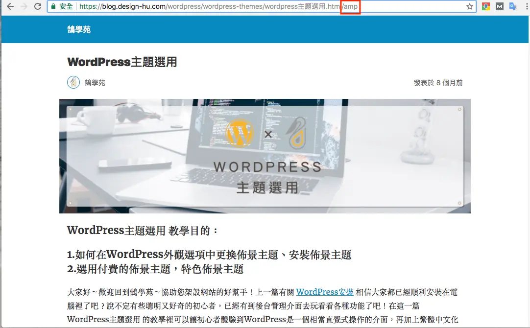 Google AMP 是什麼?2026 年還需要嗎?WordPress AMP 外掛安裝與驗證 8 在 AMP 頁面網址後加上 #development=1