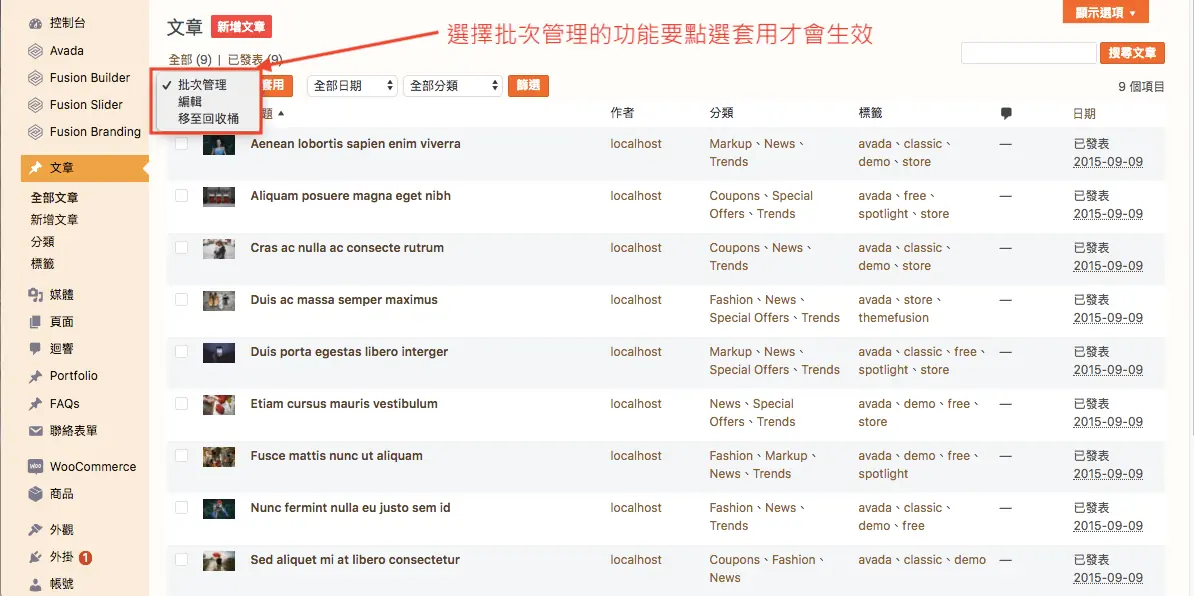 WordPress 教學 基礎介紹一（文章） 