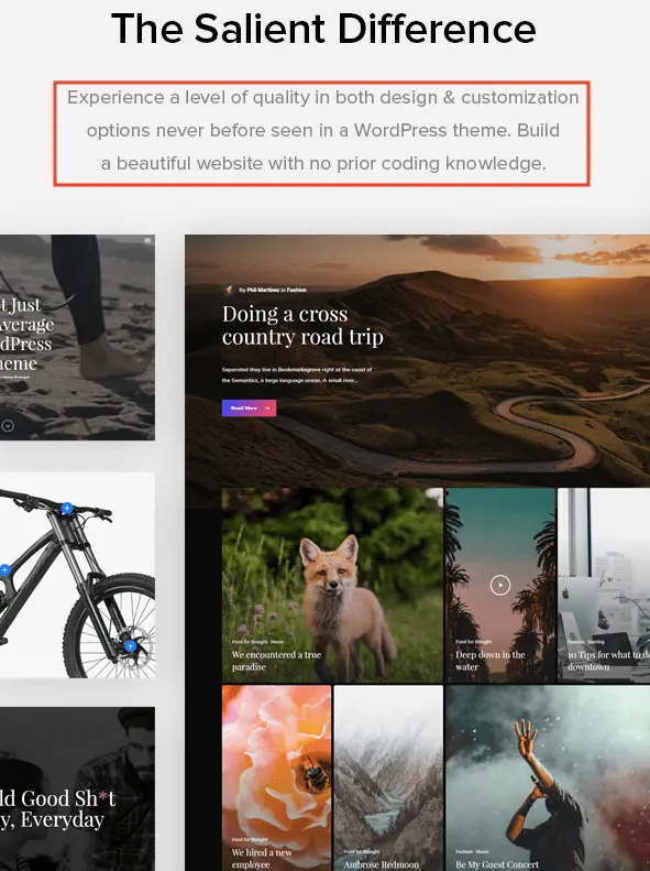 Salient WordPress 主題教學:特色、購買授權與匯入示範網站步驟 12 Salient 官方介紹的全客製化網頁設計特色(2018 年畫面)
