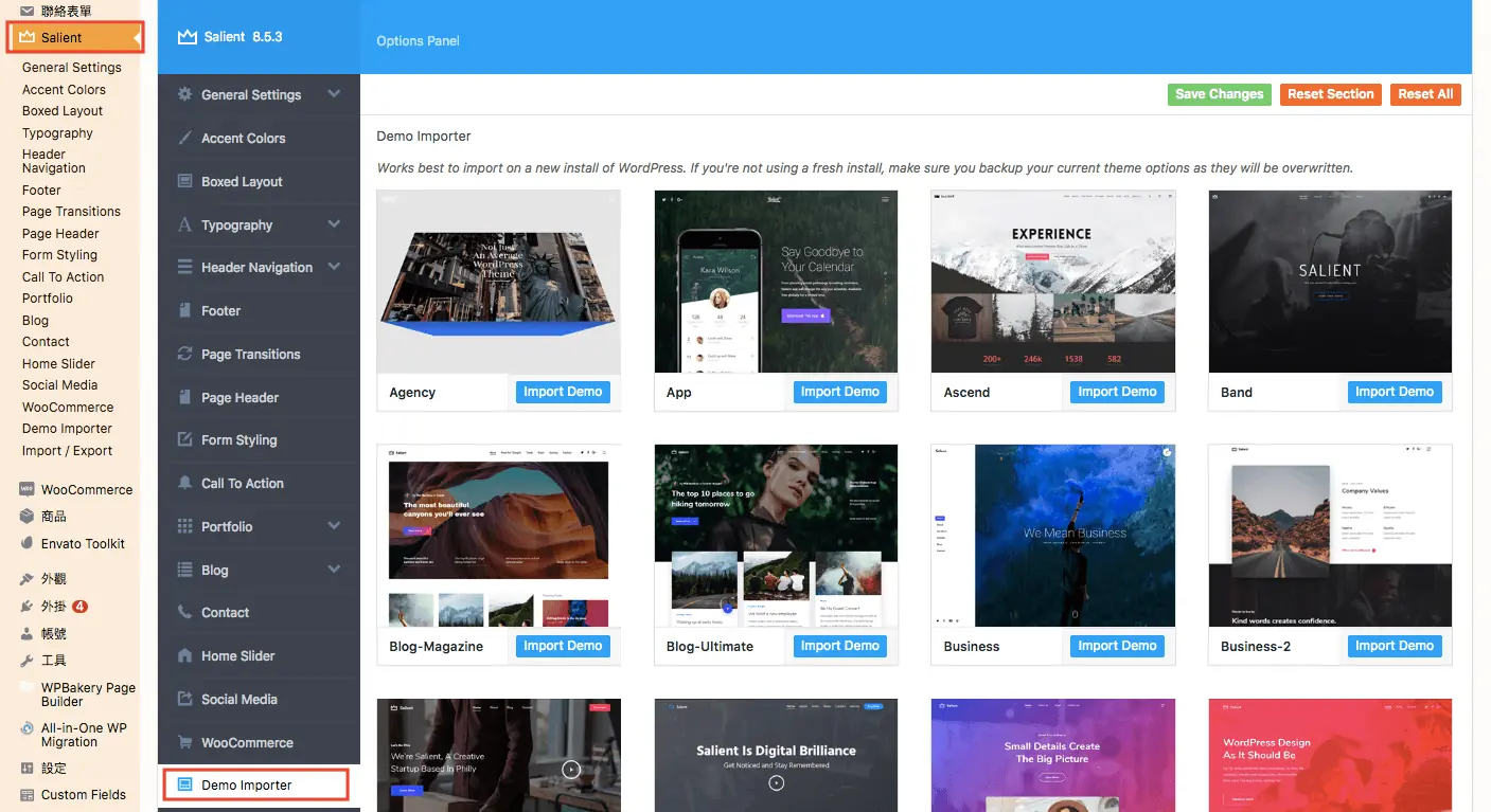 Salient WordPress 主題教學:特色、購買授權與匯入示範網站步驟 16 Salient 後台的 Demo Import 頁面,列出可匯入的範例網站(舊版介面)