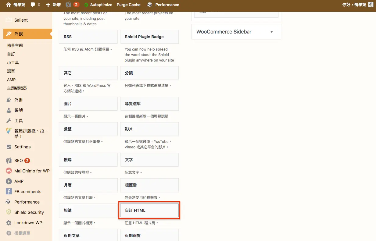 舊版 WordPress 小工具頁面，找到自訂 HTML