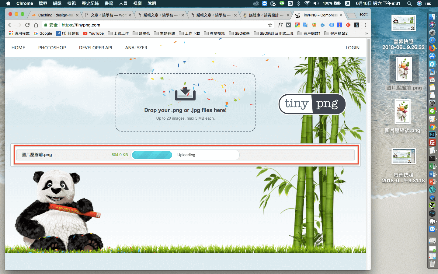 Tinypng 線上 網頁 圖片 壓縮 - 照片壓縮不失真 - png壓縮 工具 