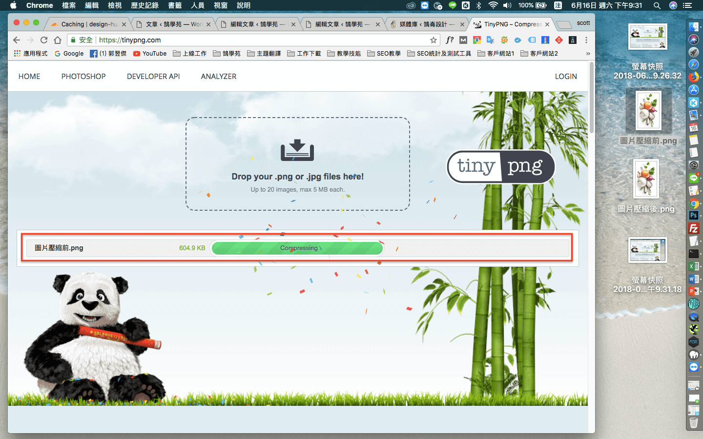 Tinypng 線上 網頁 圖片 壓縮 - 照片壓縮不失真 - png壓縮 工具 