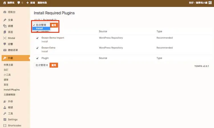 OceanWP 主題教學:免費 WordPress 佈景主題安裝與範本匯入 12 勾選建議的外掛並批次安裝(舊版畫面,當時需安裝 Ocean Demo Import 與 Ocean Extra 兩個外掛)