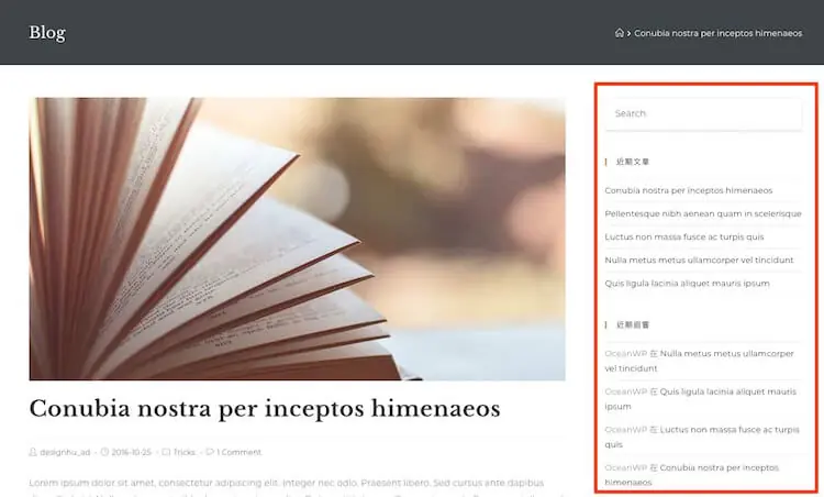 WordPress 小工具 ( Widget ) 增加自定義模組區塊,PHP語法教學 WordPress 小工具