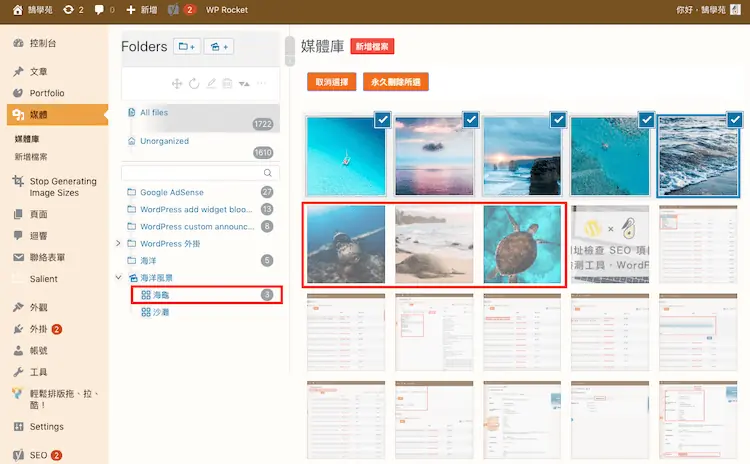 Real Media Library 教學:WordPress 媒體庫資料夾分類外掛 20 將海龜相關圖片加入海龜圖庫