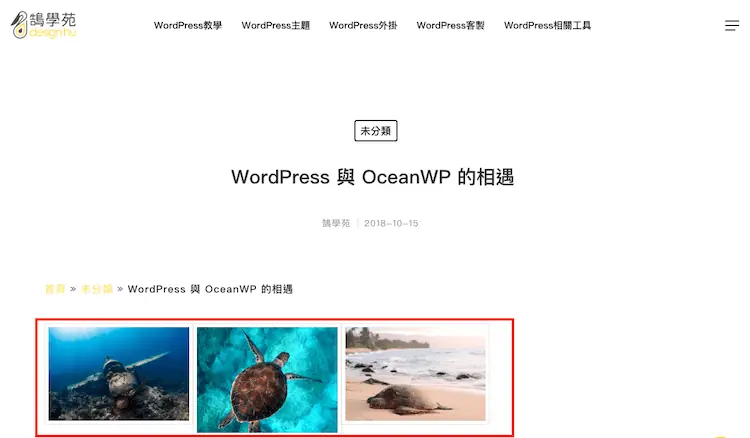 Real Media Library 教學:WordPress 媒體庫資料夾分類外掛 25 前台顯示的海龜圖庫,每列三張縮圖