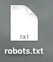 robots.txt 