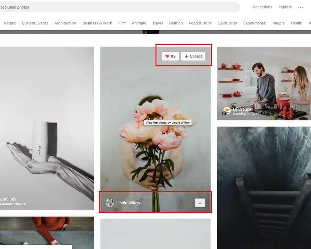CC0 是什麼意思?Unsplash 免費圖庫能商用嗎?授權規則與下載教學 2 滑鼠移到一張捧著粉色花束的照片上,紅框標示右上角的愛心與 Collect 按鈕,以及下方的攝影師名稱與下載箭頭