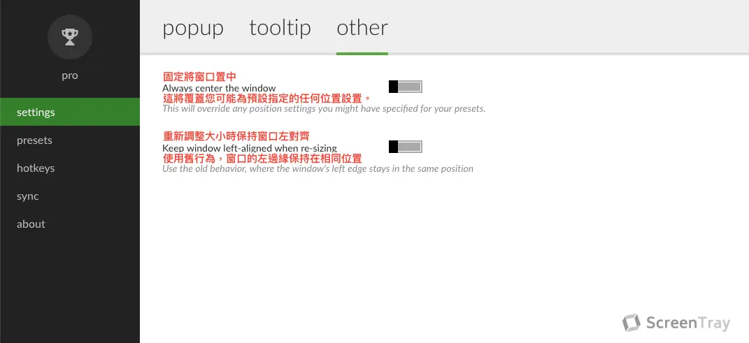 Window Resizer 設定頁的 Other 區塊，調整視窗位置等其他設定