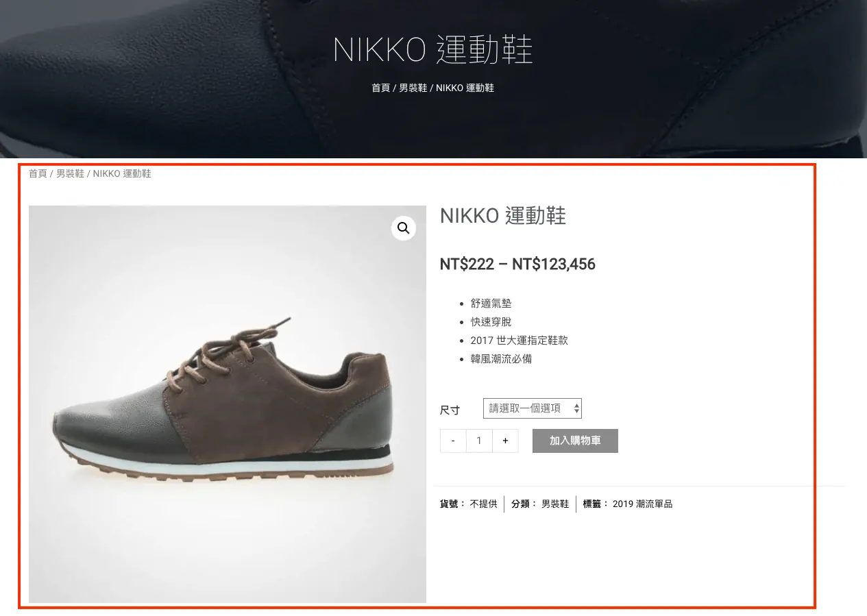 套用 Elementor 單一商品範本後的商品頁前台畫面