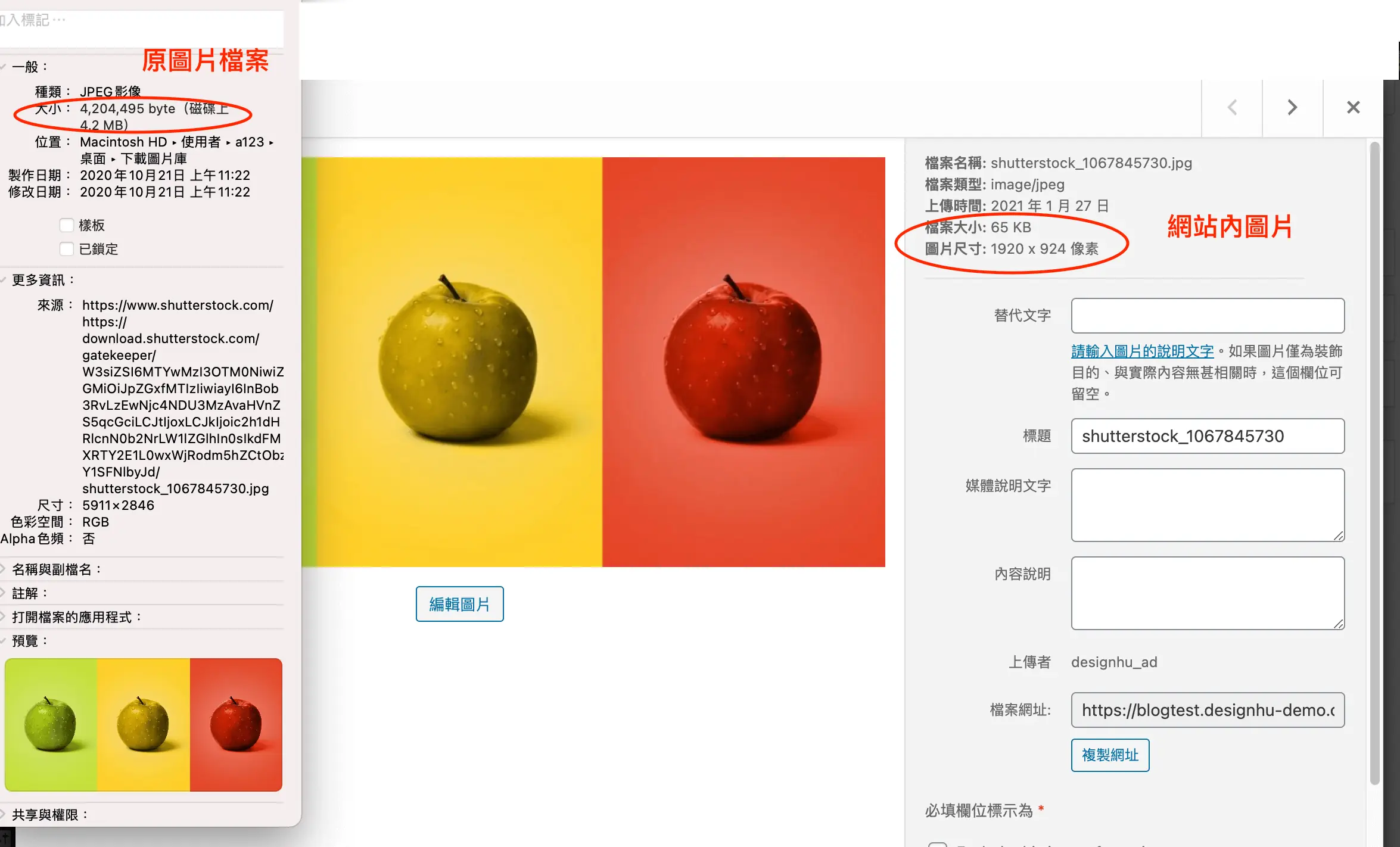 EWWW Image Optimizer 設定教學:WordPress 批量壓縮圖片外掛 8 同一張蘋果照片的比較:左側原始檔 4,204,495 bytes、5911×2846 像素,右側媒體庫中的網站內圖片 65KB、1920×924 像素