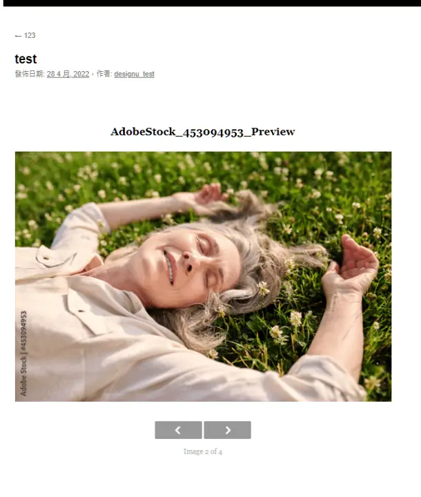 WordPress外掛建立相簿教學!通過 NextGen Gallery 使你擁有相片輪播功能! WordPress外掛建立相簿教學!通過 NextGen Gallery 使你擁有相片輪播功能!