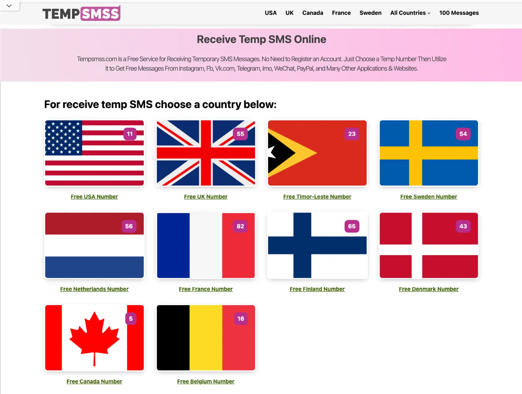 TempSMSS 首頁畫面，上方是選單列