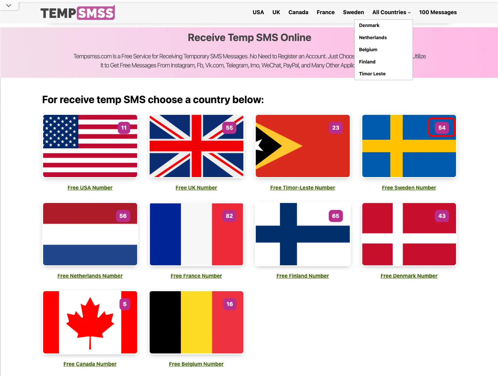 舊版 TempSMSS 首頁的國家選單，每個國家方塊右上角標示門號數量